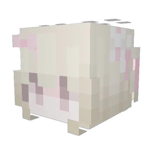 Meiletta Minecraft avatar head, 3D render