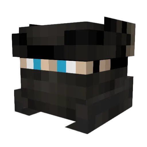 Meillone Minecraft avatar head, 3D render