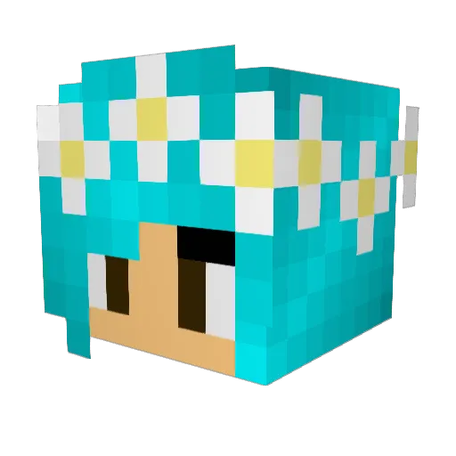 Meils123 Minecraft avatar head, 3D render