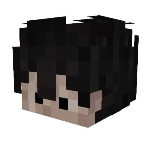 Meilux0 Minecraft avatar head, 3D render