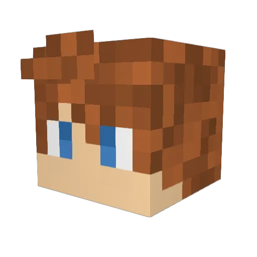 MeinGottWalter Minecraft avatar head, 3D render