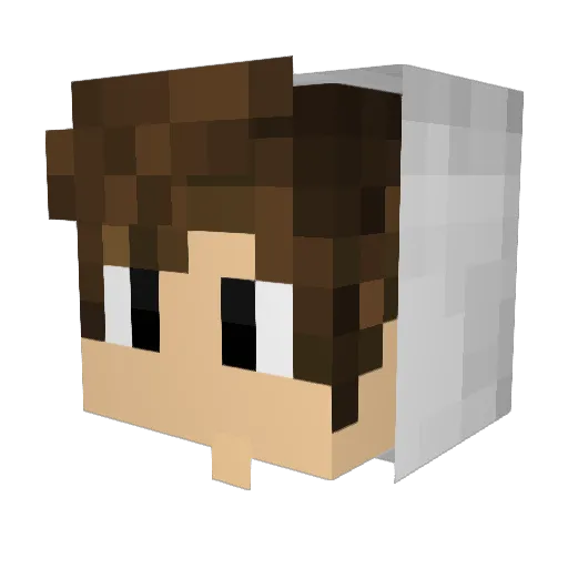 MeinNameIstElias Minecraft avatar head, 3D render