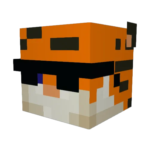 MeinTiger Minecraft avatar head, 3D render