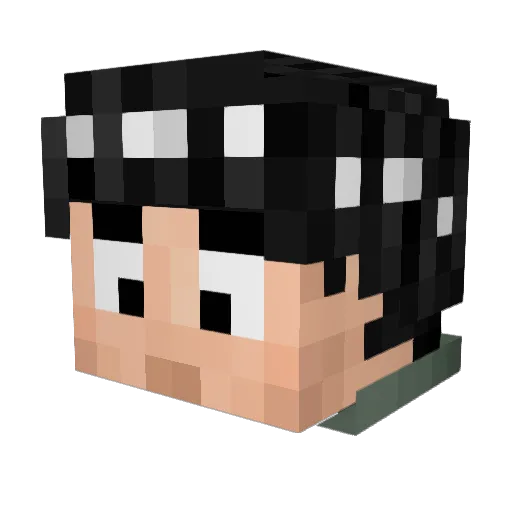 MeinWojo Minecraft avatar head, 3D render