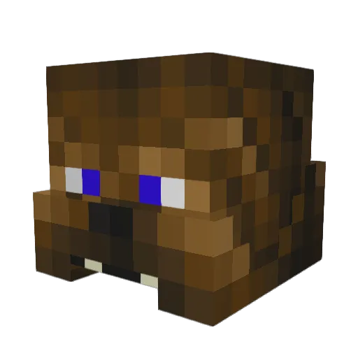 MeinZeTutWeh Minecraft avatar head, 3D render