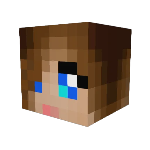Mein_furher_ Minecraft avatar head, 3D render