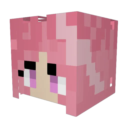 MeineKampf Minecraft avatar head, 3D render