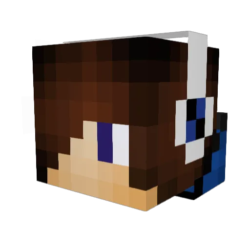 Meinertz2004 Minecraft avatar head, 3D render