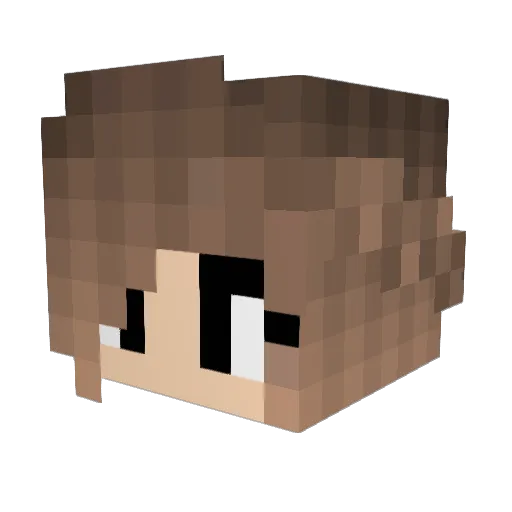 Meinevz Minecraft avatar head, 3D render