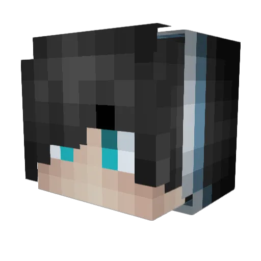 Meisgod_Gamer Minecraft avatar head, 3D render