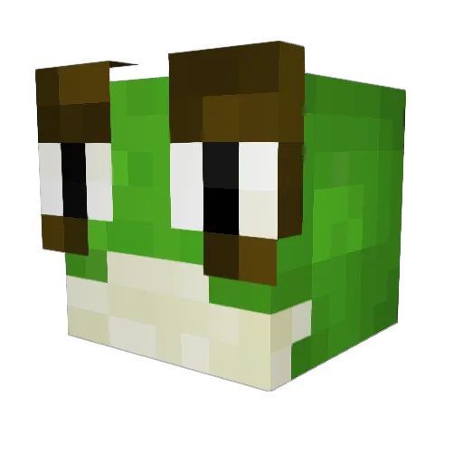 Meister0ogway Minecraft avatar head, 3D render