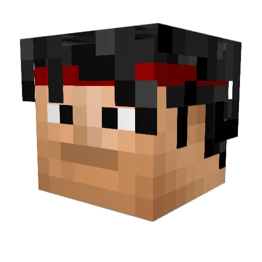 Meister1904 Minecraft avatar head, 3D render