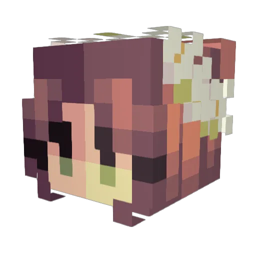 Meitary Minecraft avatar head, 3D render