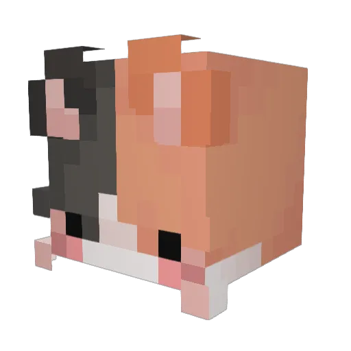 Meittsxn Minecraft avatar head, 3D render