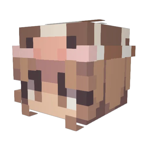 Meiw126 Minecraft avatar head, 3D render