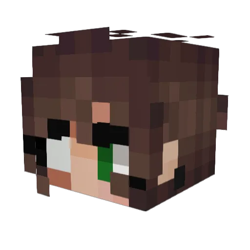 Meja_Liz Minecraft avatar head, 3D render