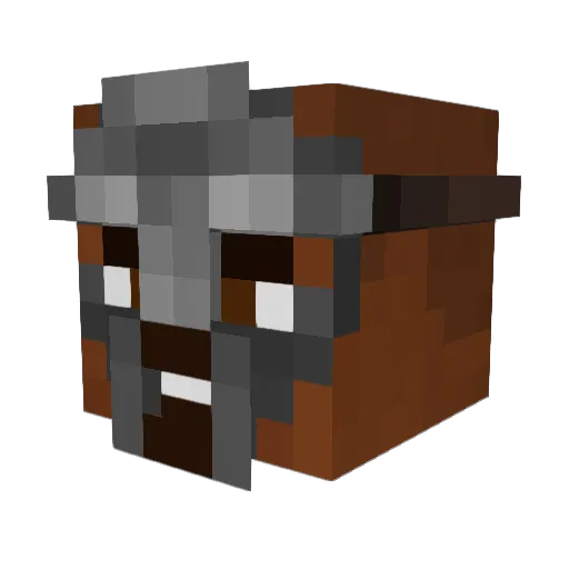 Mejusbmm Minecraft avatar head, 3D render