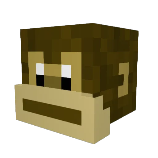 MekyPoo Minecraft avatar head, 3D render