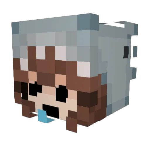 MelCloud Minecraft avatar head, 3D render
