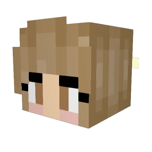Mel_Bel3 Minecraft avatar head, 3D render
