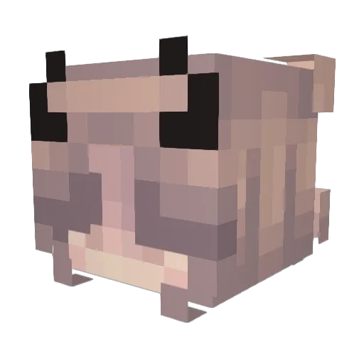 Melandries Minecraft avatar head, 3D render