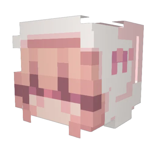 Melaniek404 Minecraft avatar head, 3D render