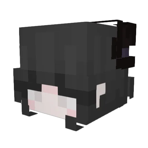 Melatoninn_ Minecraft avatar head, 3D render
