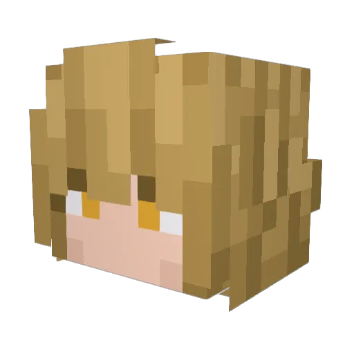 Melek345894 Minecraft avatar head, 3D render
