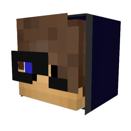 MeliKitty1 Minecraft avatar head, 3D render