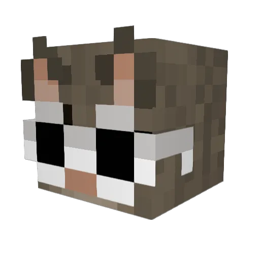 Meli_Lu Minecraft avatar head, 3D render