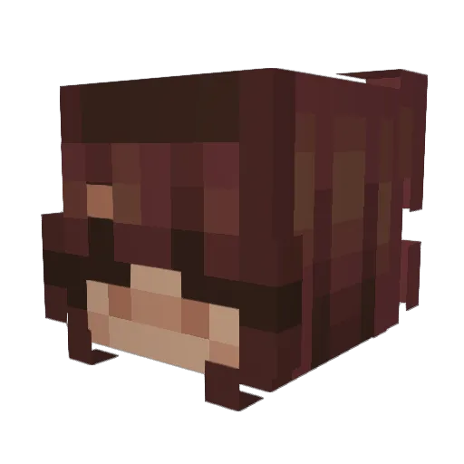 Melia_50 Minecraft avatar head, 3D render