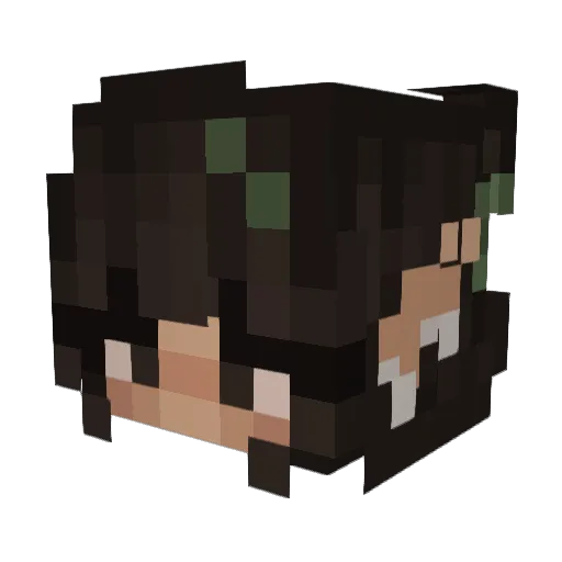 Melidi_ Minecraft avatar head, 3D render