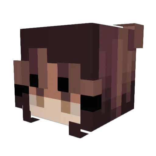 Melinda419 Minecraft avatar head, 3D render