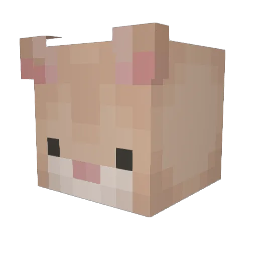 Melindrito Minecraft avatar head, 3D render