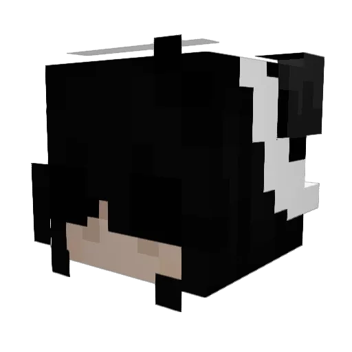 Melioda159 Minecraft avatar head, 3D render