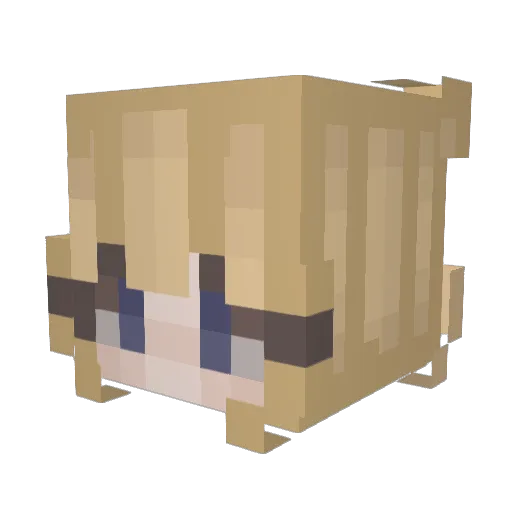 Melisa333 Minecraft avatar head, 3D render