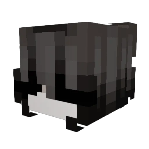 Melissa555 Minecraft avatar head, 3D render