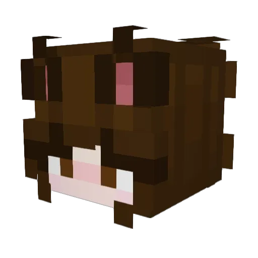 Melkiduck Minecraft avatar head, 3D render