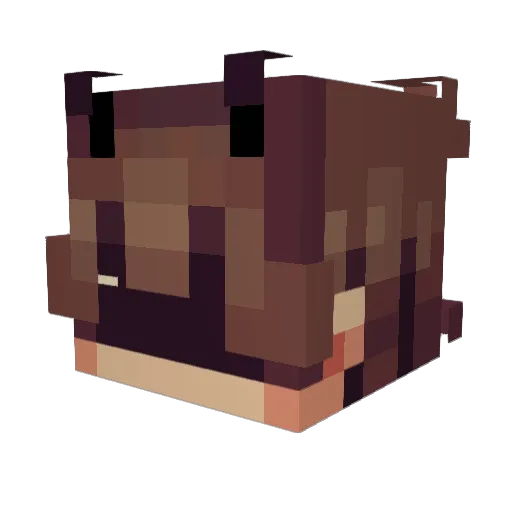Mell3w Minecraft avatar head, 3D render