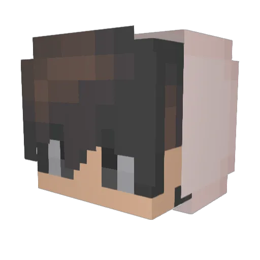MellePelle2000 Minecraft avatar head, 3D render