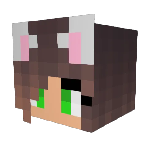 Mellee99 Minecraft avatar head, 3D render