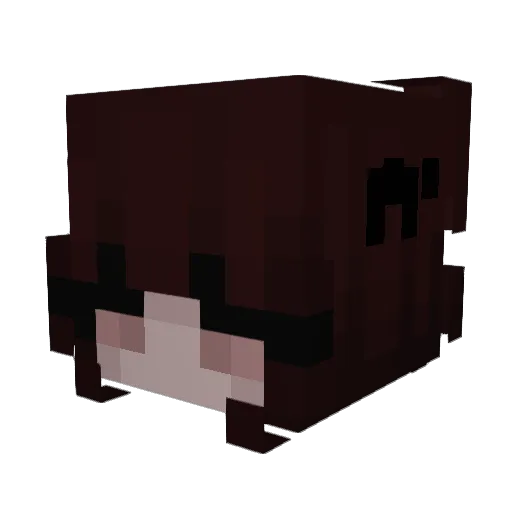 Mellisxa Minecraft avatar head, 3D render