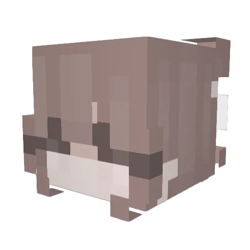 Mellody_39 Minecraft avatar head, 3D render