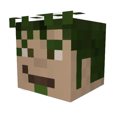 Mellonikus Minecraft avatar head, 3D render