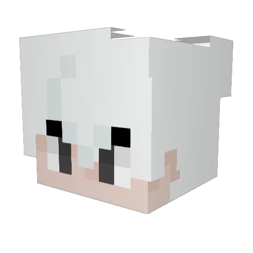 Mellow0704 Minecraft avatar head, 3D render