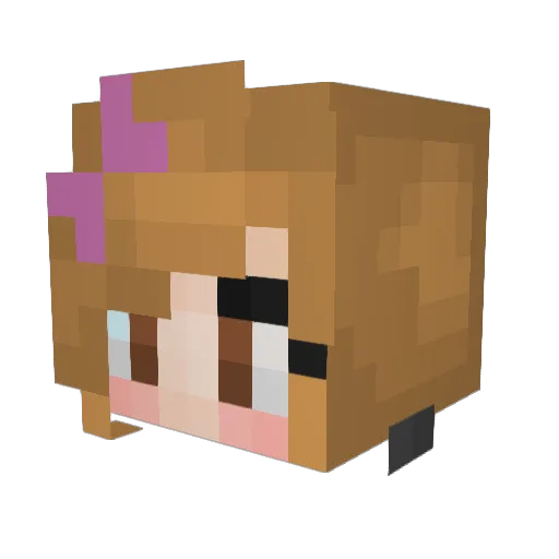MellowPeaches Minecraft avatar head, 3D render