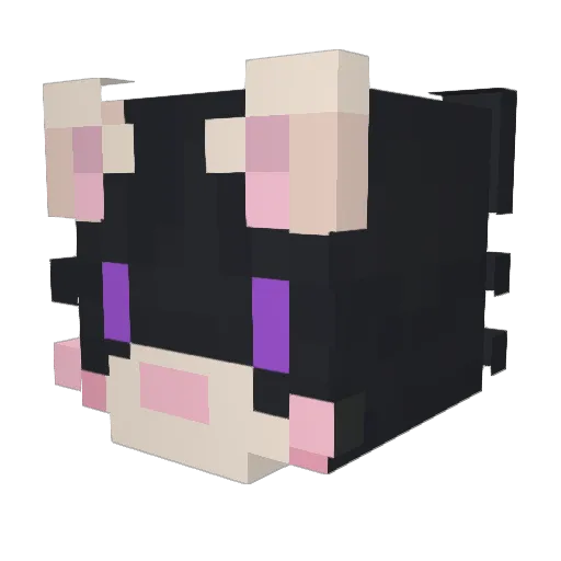 Mellow_255 Minecraft avatar head, 3D render