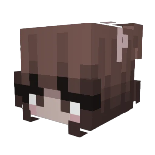 Mellowwy Minecraft avatar head, 3D render