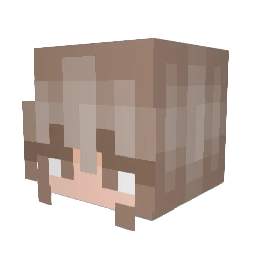 Melman2011 Minecraft avatar head, 3D render