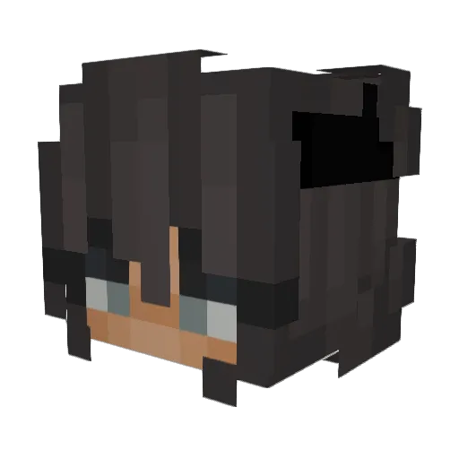 MeloMegal0 Minecraft avatar head, 3D render